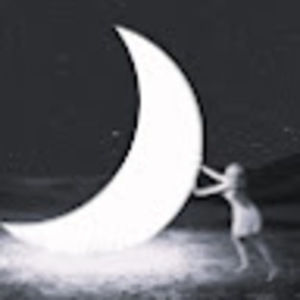 Meet your Posher, Sherry